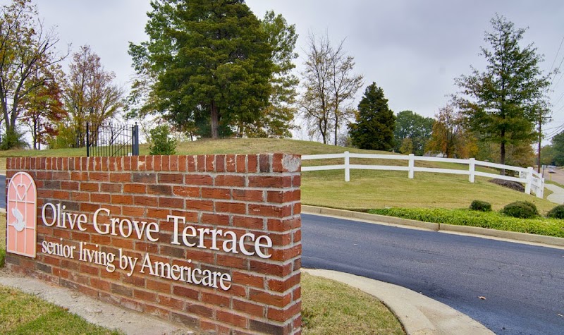 Olive Grove Terrace Senior Living